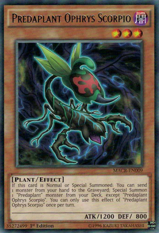 Predaplant Ophrys Scorpio [MACR-EN009] Rare 