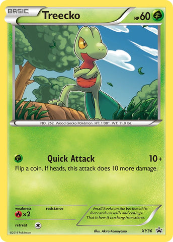 Treecko (XY36) [XY: Black Star Promos] 