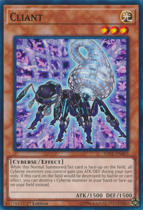 Client [SDCL-EN003] Common 