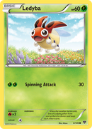 Ledyba (6/146) [XY: Base Set] 