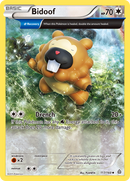 Bidoof (117/160) [XY: Primal Clash] 
