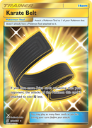 Karate Belt (252/236) [Sun &amp; Moon: Unified Minds] 