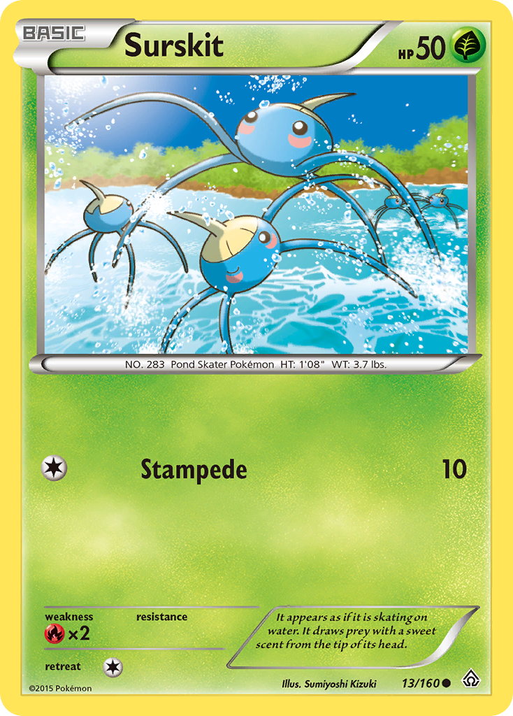 Surskit (13/160) [XY: Primal Clash] 