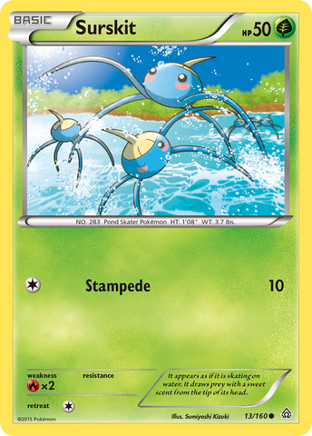 Surskit (13/160) [XY: Primal Clash] 