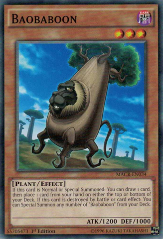 Baobaboon [MACR-EN034] Common 