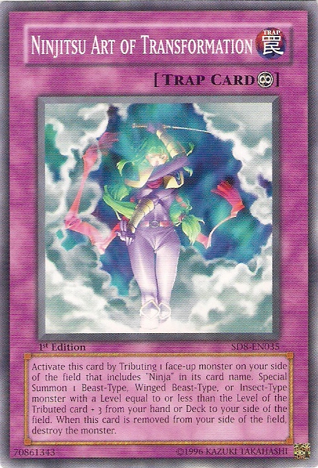 Ninjitsu Art of Transformation [SD8-EN035] Common 