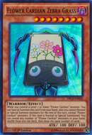 Flower Cardian Zebra Grass [DRL3-EN032] Ultra Rare 