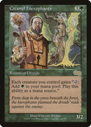 Citanul Hierophants [Urza's Saga] 