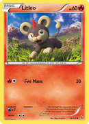 Litleo (19/106) [XY: Flashfire] 