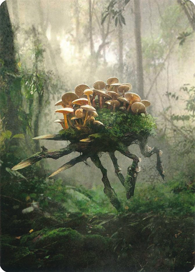 Saproling // Saproling Double-Sided Token [Unstable Tokens] 