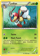 Ledian (7/146) [XY: Base Set] 