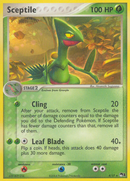 Sceptile (4/17) [POP Series 1] 