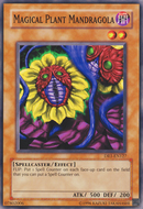Magical Plant Mandragola [DR1-EN127] Common 