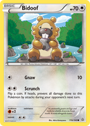 Bidoof (116/160) [XY: Primal Clash] 