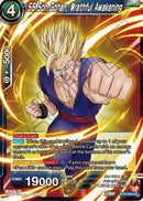 SS Son Gohan, Wrathful Awakening (BT19-050) [Fighter's Ambition] 
